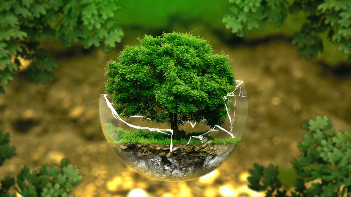 WHOLE ECOSYSTEM WARMING STIMULATES METHANE PRODUCTION FROM PLANT METABOLITES IN PEATLANDS