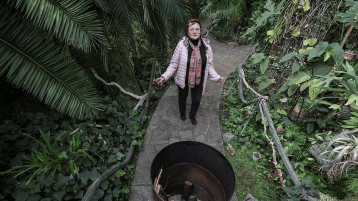 The struggle to save the tropical plants of Kyiv’s Botanical Garden