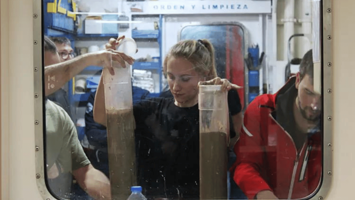 Microplastics Deposited on the Seafloor Triple in Twenty Years