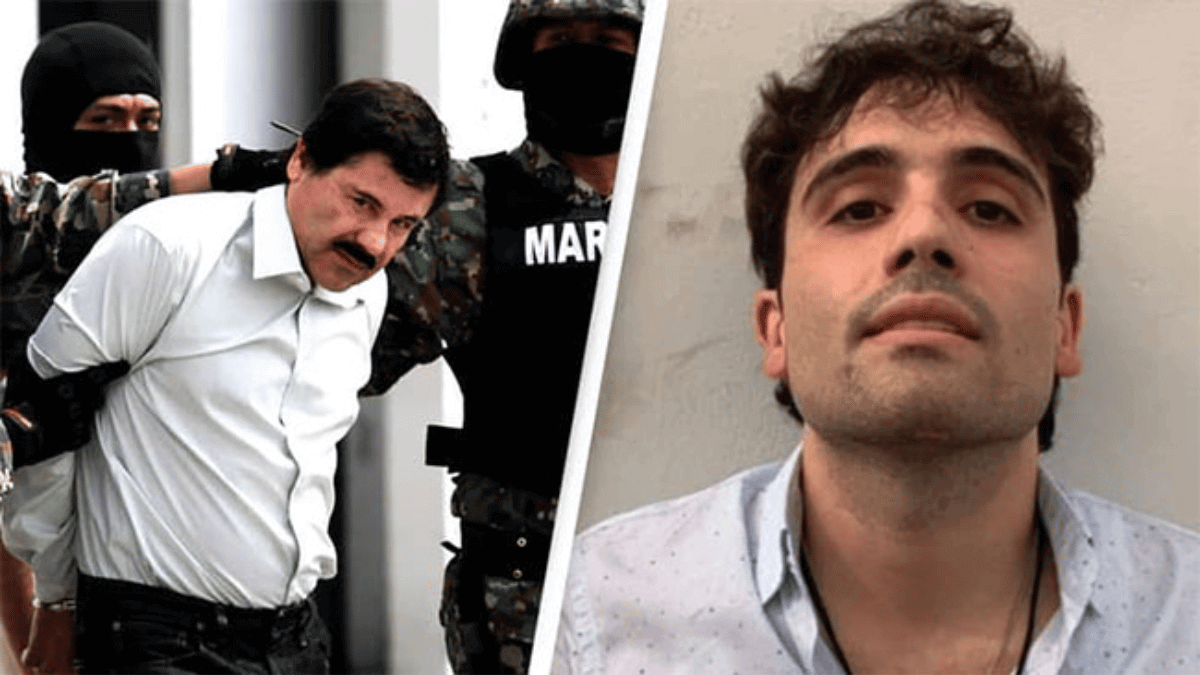 At least 29 killed in Mexico capture of Chapo’s son