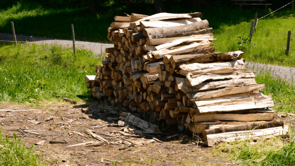 The Ultimate Guide to Finding Quality Firewood for Sale by the Cord